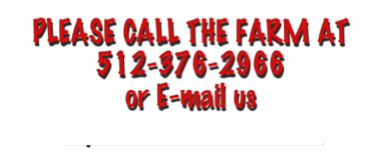 PLEASE CALL THE FARM AT
512-376-2966
or E-mail us frysfunfarm@mac.com