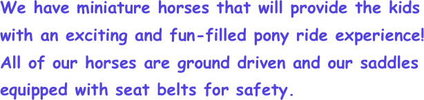 We have miniature horses that will provide the kids with an exciting and fun-filled pony ride experience! All of our horses are ground driven and our saddles             equipped with seat belts for safety.

